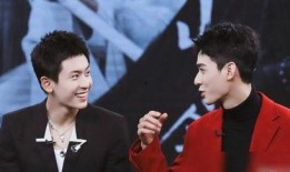 娱乐圈双男主,双男主携手演绎娱乐圈的璀璨传奇